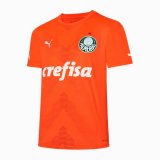 Thai Portiere maglia Palmeiras 2024