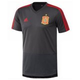 maglia Spagna formazione Grigio scuro 2018