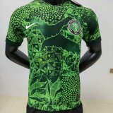 Versione del giocatore maglia Nigeria casa 2023